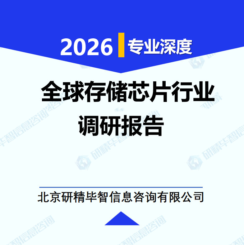 全球存儲芯片行業調研報告